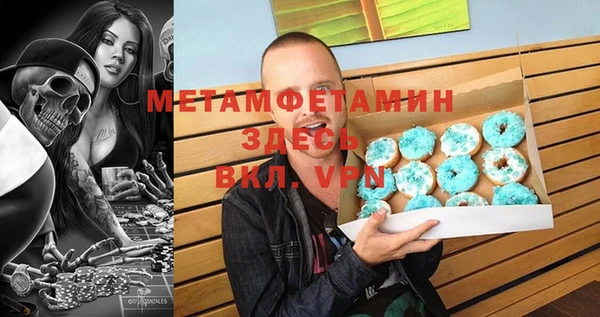 шишки Ельня