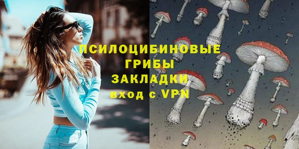 гидра Алзамай