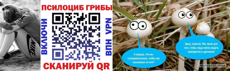 Псилоцибиновые грибы MAGIC MUSHROOMS  Рыбное 